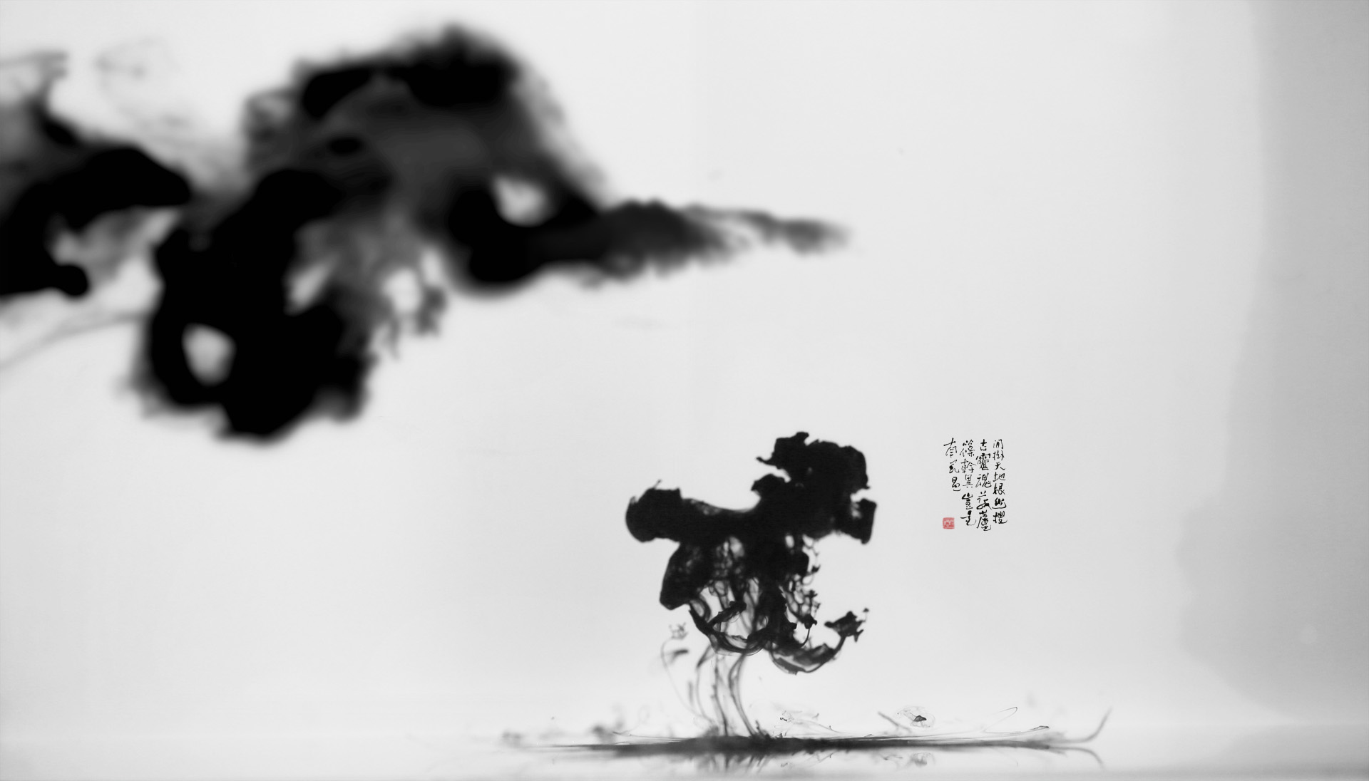 Home Killer - Ting Zhang